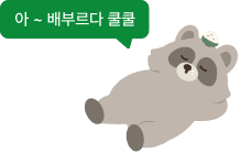 자고 있는 너구리 이미지